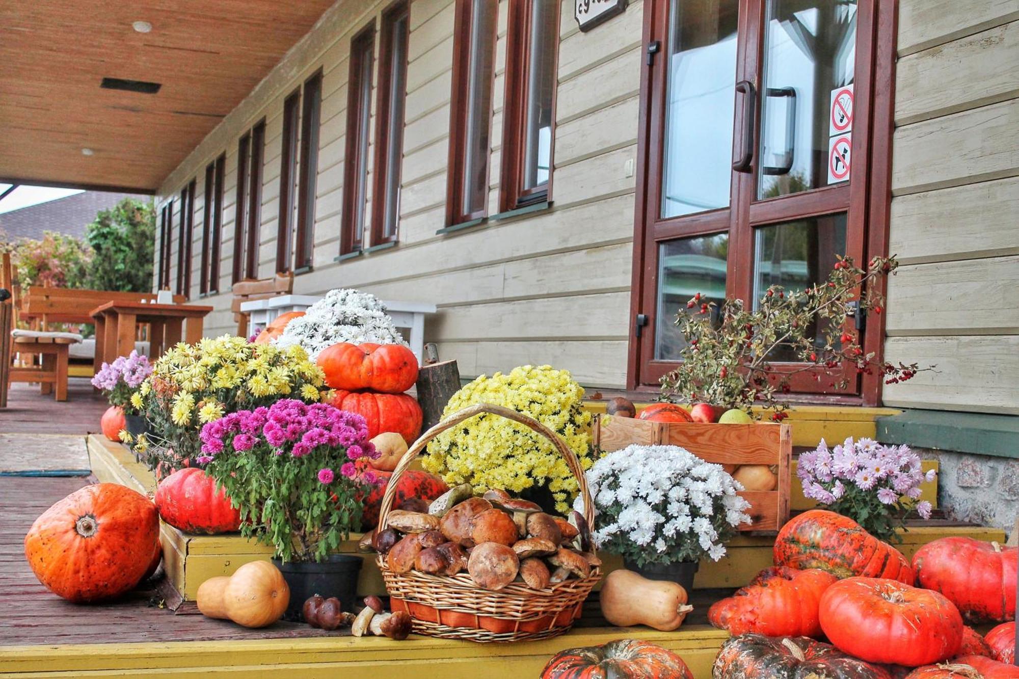 Bereg Holiday Park Svetlogorskoye المظهر الخارجي الصورة