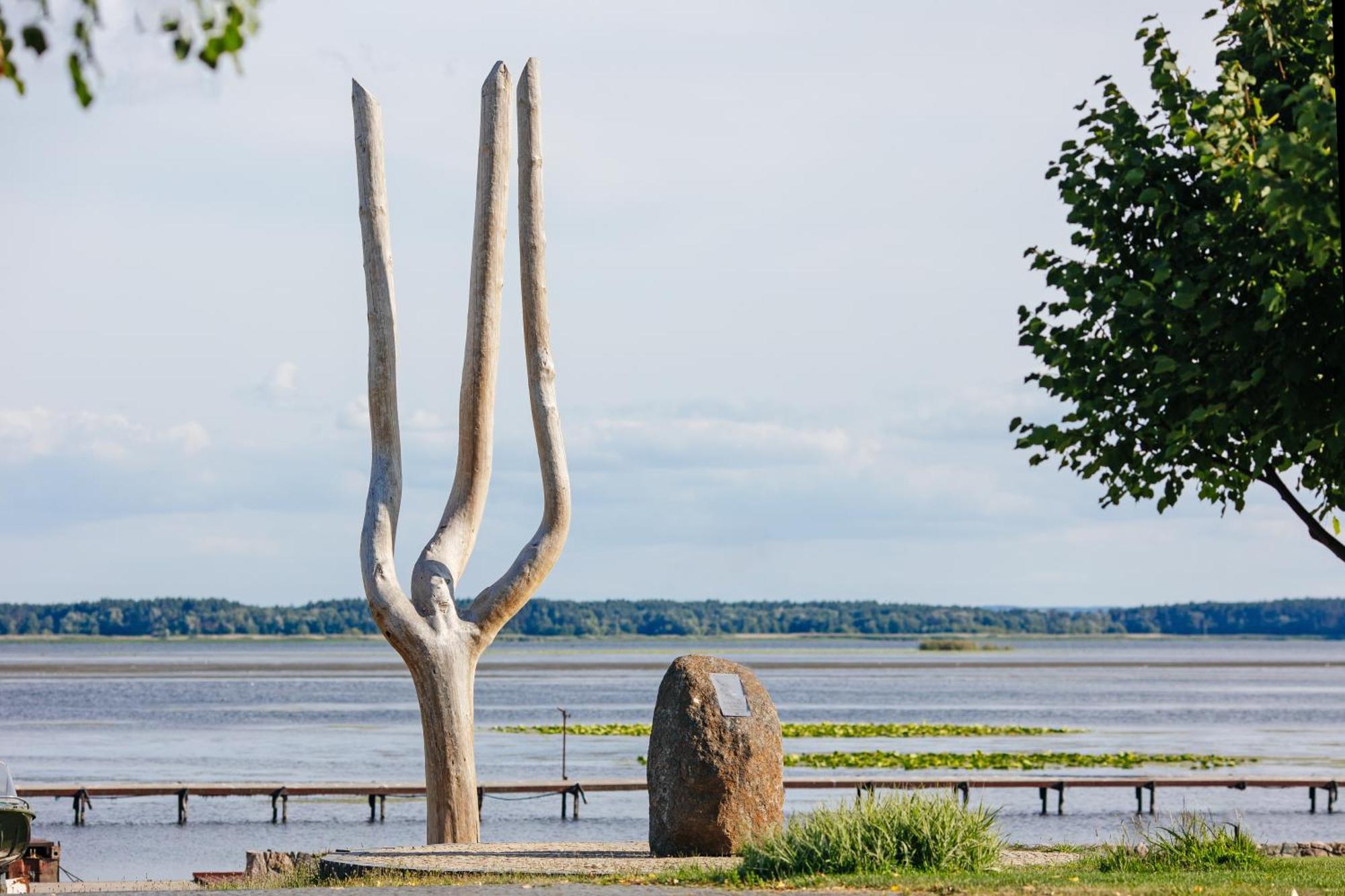 Bereg Holiday Park Svetlogorskoye المظهر الخارجي الصورة